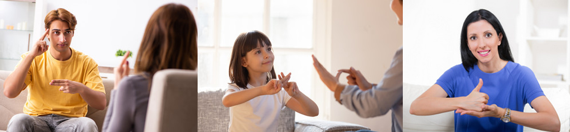 tecnico superior en interpretacion de lengua de signos